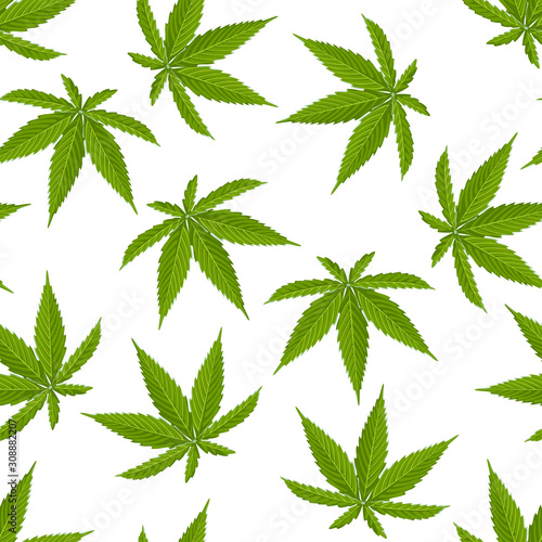 Green leaves hemp seamless pattern. Vector illustration of cannabis on white background. Cartoon simple flat style.
