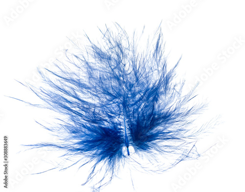 blue feathers with spots on a white background