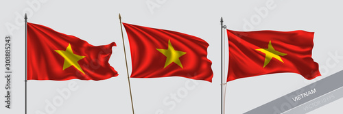 Set of Vietnam waving flag on isolated background vector illustration