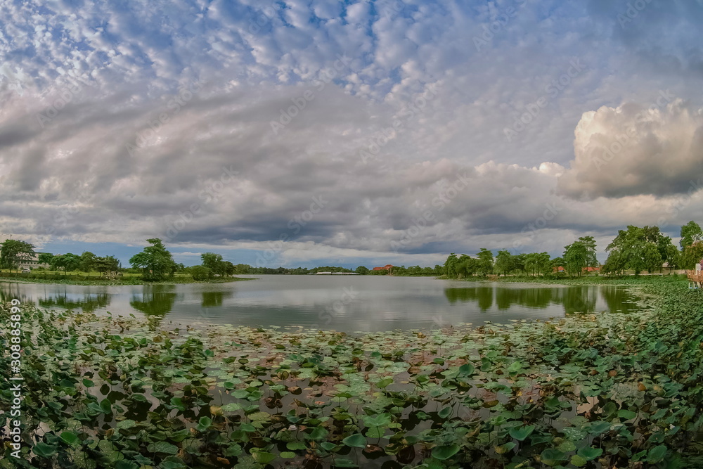 Lake view of fat white clouds moving in strong wind above lotus lake with soft raining and blue sky background, Krajub reservoir, Ban Pong District, Ratchaburi, Thailand. Lake view of fat white clouds moving in strong wind above lotus lake with soft raining and blue sky background, Krajub reservoir, Ban Pong District, Ratchaburi, Thailand.