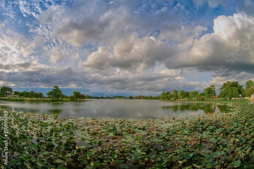 Lake view of fat white clouds moving in strong wind above lotus lake with soft raining and blue sky background, Krajub reservoir, Ban Pong District, Ratchaburi, Thailand.