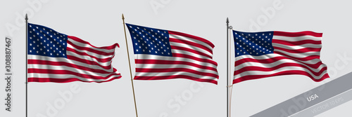 Set of United States of America waving flag on isolated background vector illustration