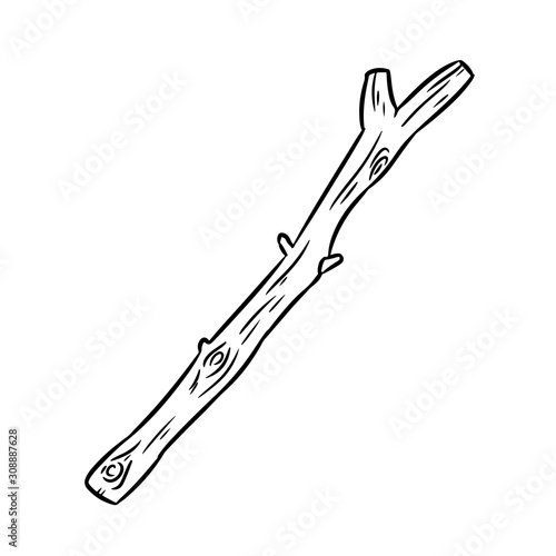 Dry tree branch. Boho image of stick isolated on white background