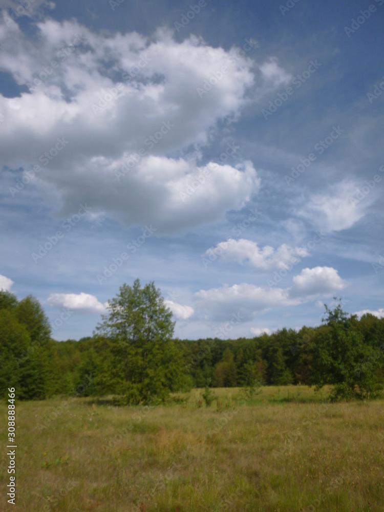 Obraz premium clouds over the river and meadow