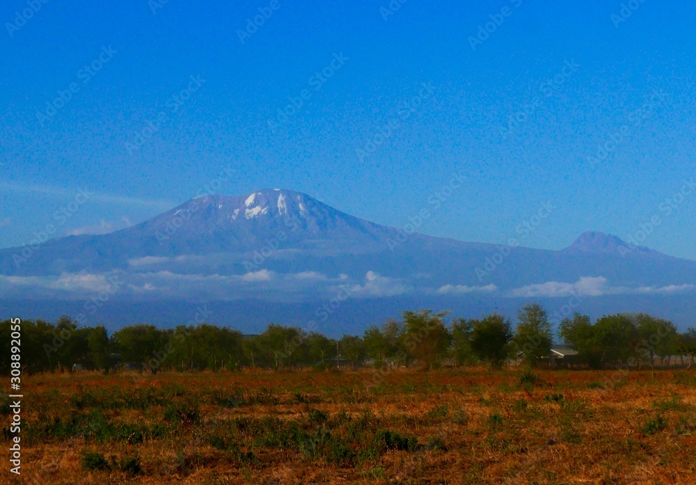 Fototapeta premium kilimanjaro 