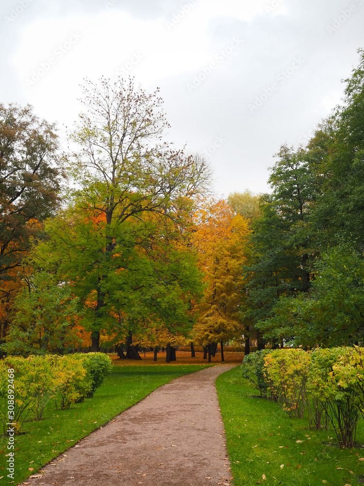 Obraz premium Beautiful winter garden The leaves are changing color