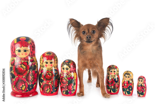 Russian dolls and russkiy toy photo