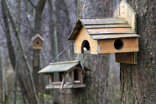 Bird feeders. House for the birds