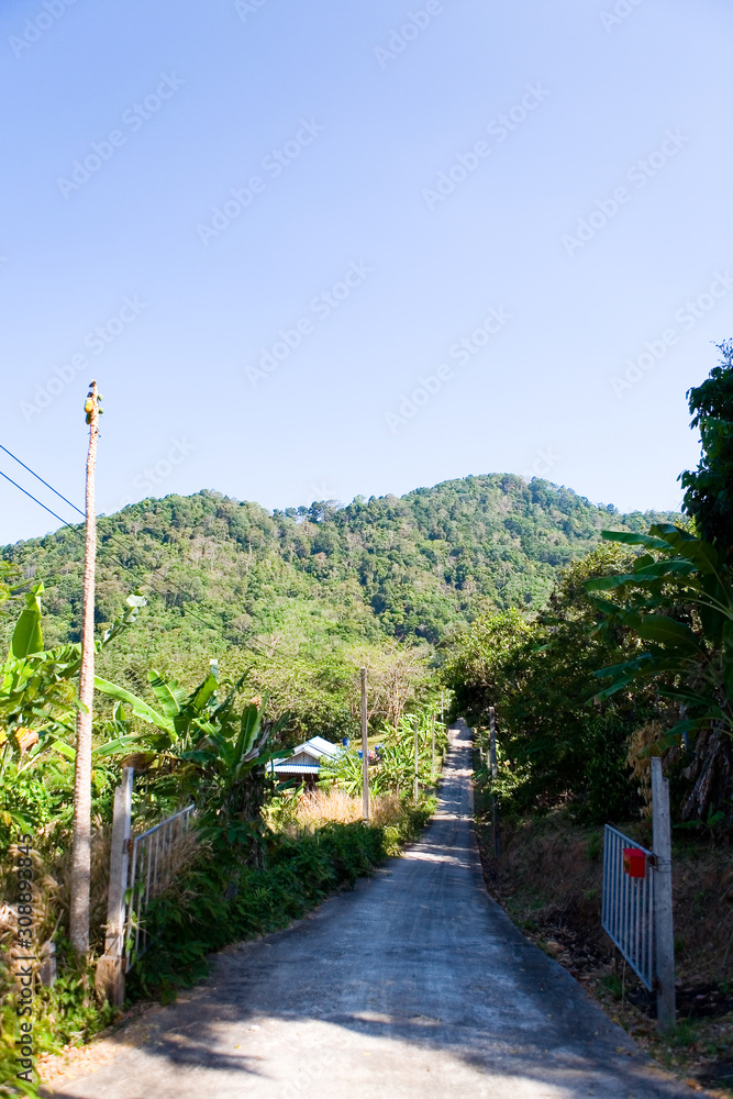 An open gate road leads to a jungle-covered mountain.