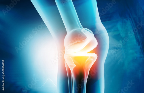 Anatomy of knee joint on medical background. 3d illustration photo