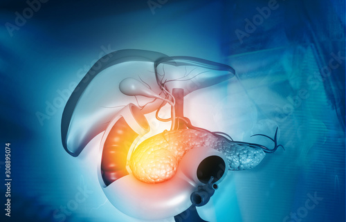 Anantomy of Liver  stomach  pancreas  gallbladder and spleen on medical background. 3d illustration. photo