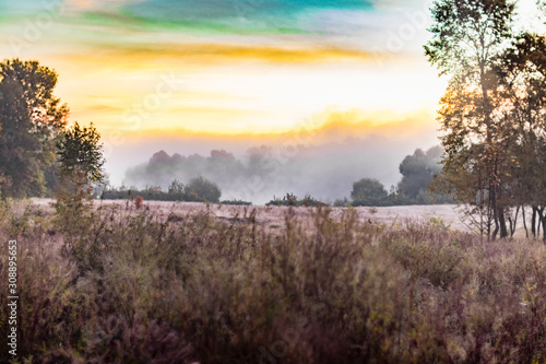 Ukraine, Senkovka in Chernihiv region - 09 30 2018: Ukrainian northern fields at early morning