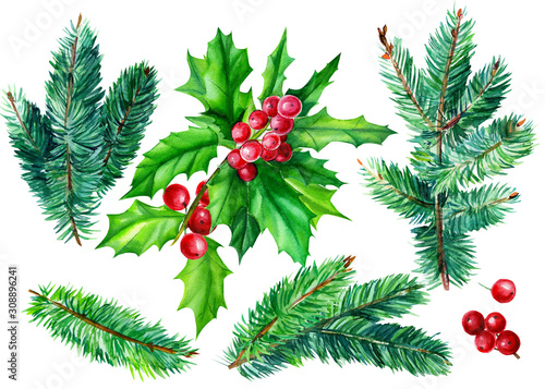 set of fir branches, holly leaves and berries on an isolated white background, christmas tree, watercolor illustration, hand-drawing.