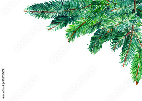 fir branches  watercolor illustration  hand-drawing  christmas tree  decoration  greeting card with place for text