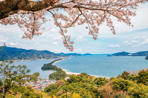 Obraz na płótnie Amanohashidate nature scenic view at spring in Kyoto, Japan w salonie
