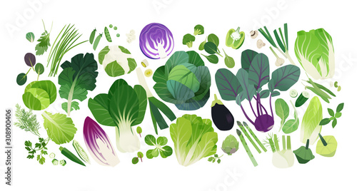 Vector background, cabbage and leafy greens clip art icons
