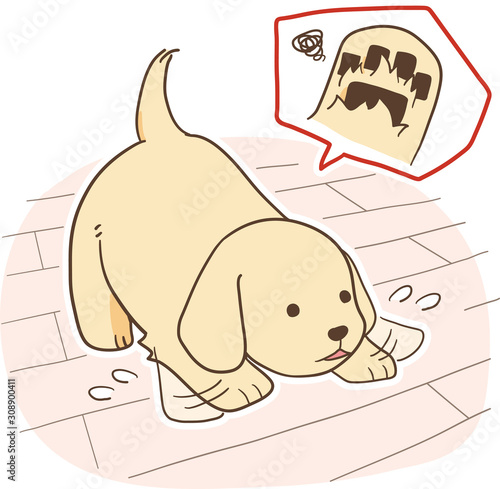 ゴールデンレトリバーの子犬（足の毛が伸びて滑る）