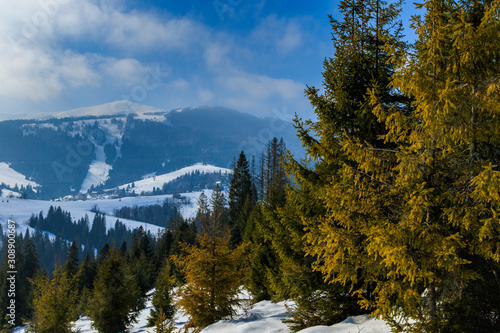 Winter landscape in Carphatians Mountain (Ukraine)