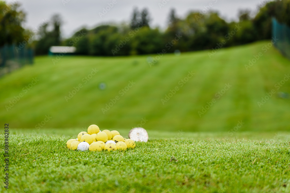 Naklejka premium Heap of golf balls ready for warm up swing.
