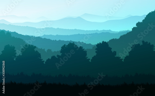 Natural forest Jungle horizon trees Landscape wallpaper Sunrise and sunset  Illustration vector style Colorful view background