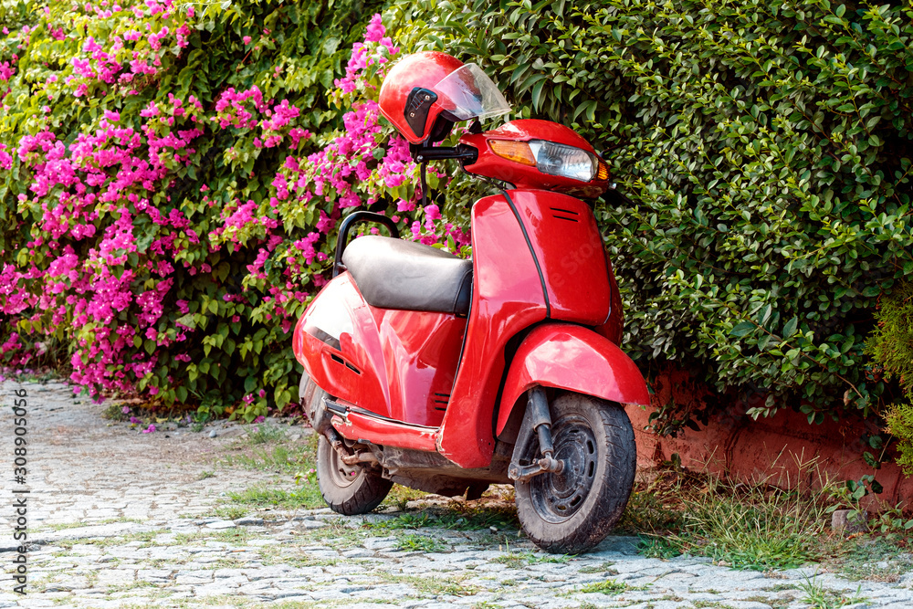 against the background of a green hedge of flowers is a scooter bright red with a helmet on the steering wheel