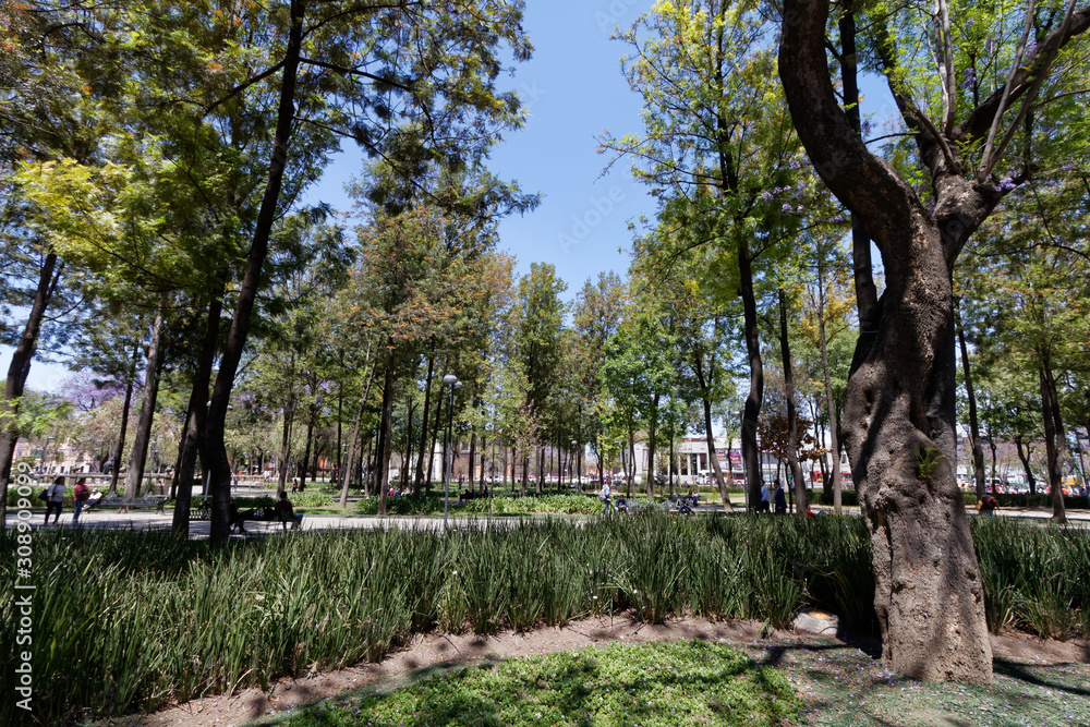 Park Alameda Central w Ciudad de Mexico