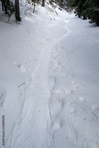 snow covered road