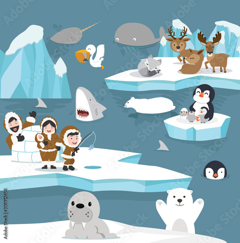arctic animals cartoon template set