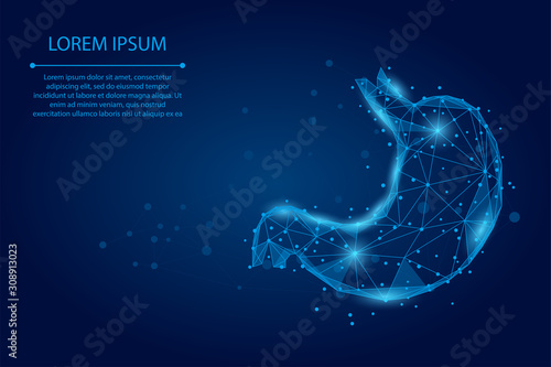 Abstract mash line and point human healthy stomach. Low poly health care vector illustration