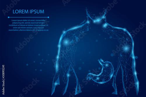 Abstract mash line and point man silhouette healthy stomach connected dots low poly wireframe. Low poly health care vector illustration