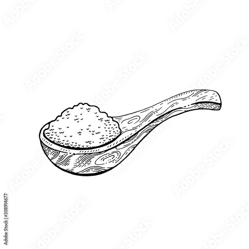 Wooden spoon with food - sketch flour, rice, sea salt, spirulina, spice, potato, oat, sugar, porridge. Doodle hand drawn vector illustration, vintage drawing, isolated white background