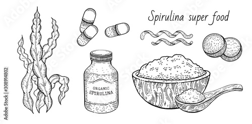 Spirulina seaweed set. Hand drawn sea plant  super food engraved drawing. Spirulina superfood detox collection. Sketch vector illustration isolated on white background. Powder bowl  spoon  pill bottle