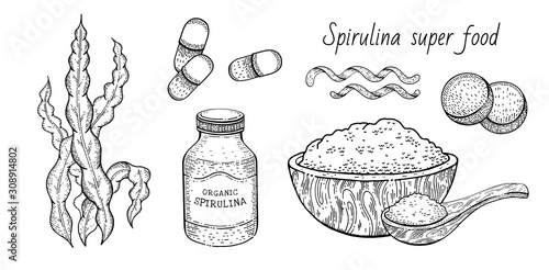 Spirulina seaweed set. Hand drawn sea plant, super food engraved drawing. Spirulina superfood detox collection. Sketch vector illustration isolated on white background. Powder bowl, spoon, pill bottle