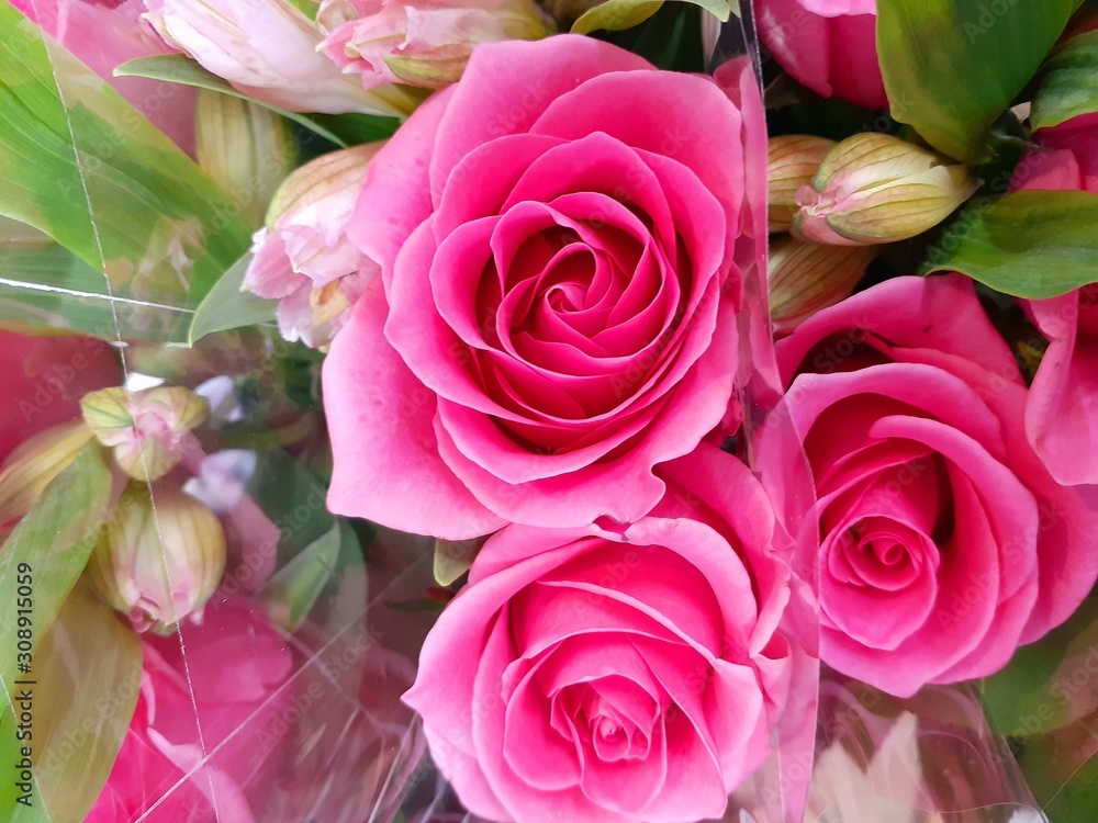 Obraz premium お花屋さんで咲いていたピンクの薔薇の花束