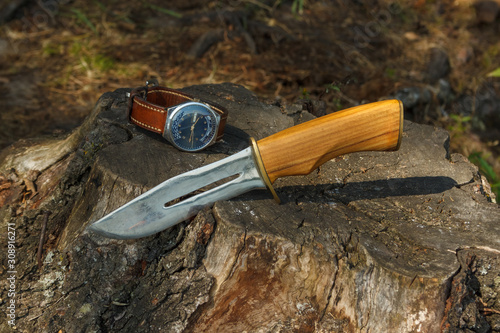 Hunting knife and vintage wrist watch are placed on a stump in the woods. Summer composition with travel equipment in outdoors. Close-up