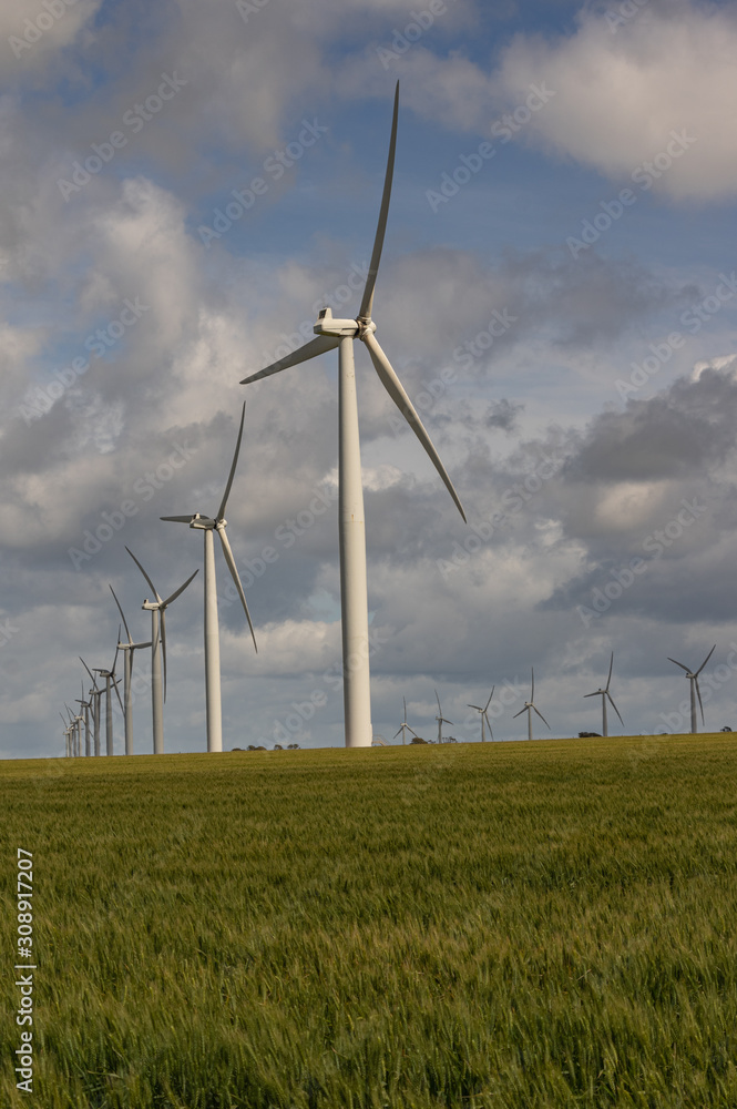 Wind Farm in rural South Australia provides green alternative energy Wind Farm in rural South Australia provides green alternative energy
