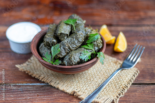 Oriental dish Dolma from grape leaves and minced meat.