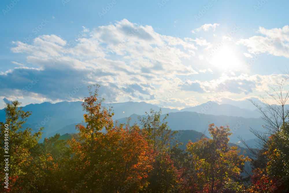 Naklejka premium 高尾山,山頂
