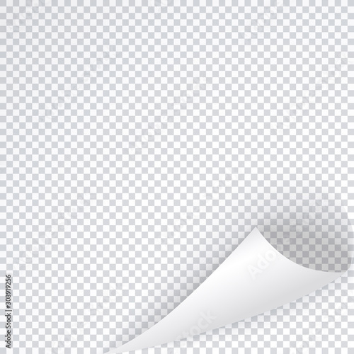 Page corner template with shadow, bent sheet of white list, curled transparent note. Vector template for book, magazine, post, note.
