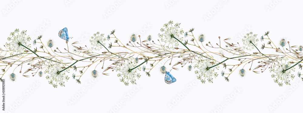 custom made wallpaper toronto digitalWatercolor hand-drawn seamless border of dill flowers, forest flowers and ears of corn with blue butterflies, Lycaenidae, on a white background.