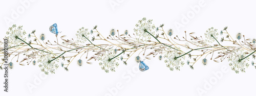 Watercolor hand-drawn seamless border of dill flowers, forest flowers and ears of corn with blue butterflies, Lycaenidae, on a white background.