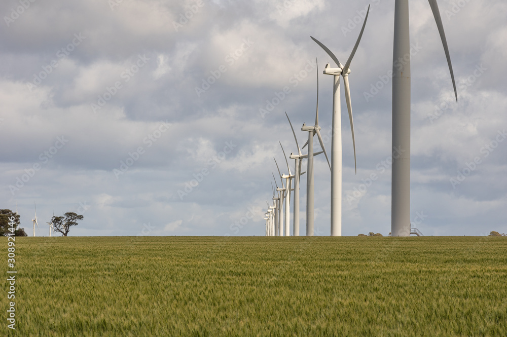 Wind Farm in rural South Australia provides green alternative energy Wind Farm in rural South Australia provides green alternative energy