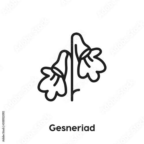 gesneriad icon vector sign symbol photo