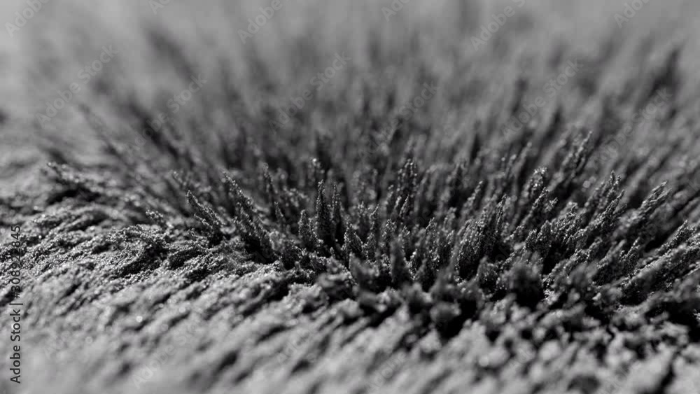 Iron powder under the influence of a magnetic field. Сlose-up. Iron powder under the influence of a magnetic field. Сlose-up.