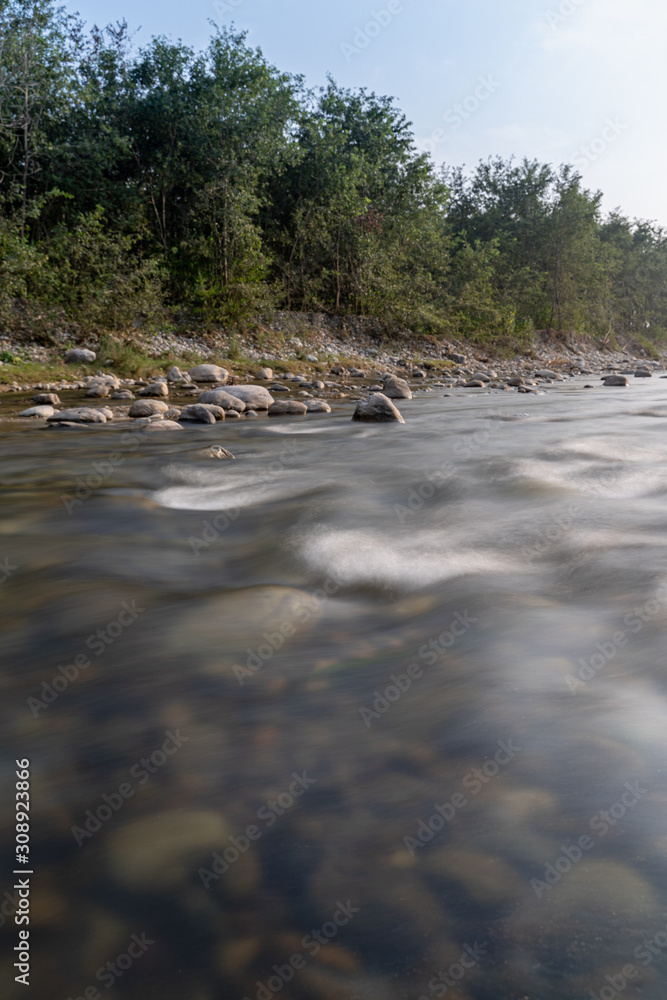 River Kosi running through the forest of the Jim Corbett national reserve - obrazy, fototapety, plakaty 