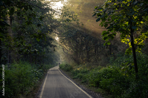 Road leading into the forest of the Jim Corbett national reserve photo