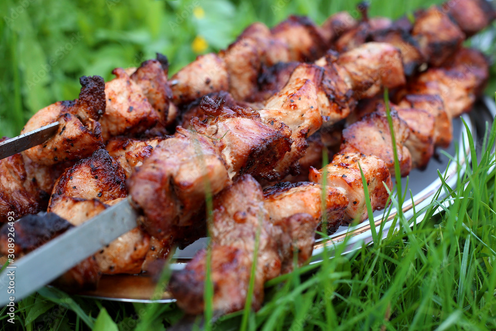  Grilled on coals barbecue on skewers lies on wooden stand on grass. Picnic in wild.