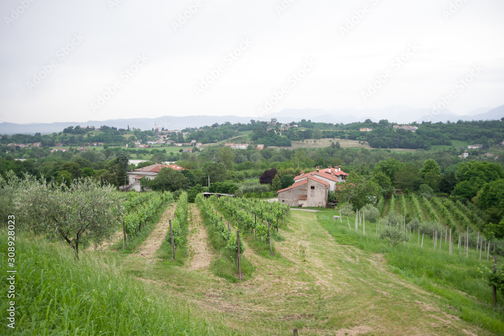 fara vicentino, italy, 06/10/2019 , View of the countryside of Fara Vicentino, a small town in Vicenza prefecture in Italy. fara vicentino, italy, 06/10/2019 , View of the countryside of Fara Vicentino, a small town in Vicenza prefecture in Italy.