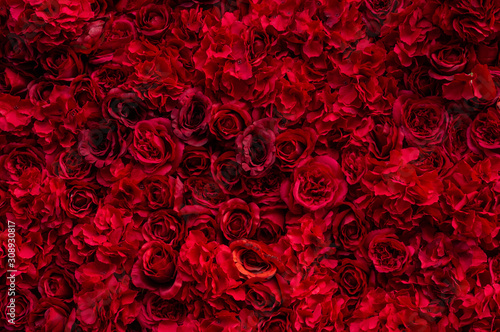 Beautiful background with red roses. Background for the holiday for your greeting card