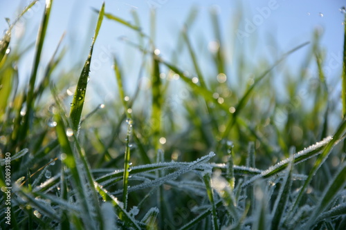 Gras, Frost,Hintergrund,Wassertropfen